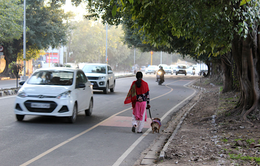 L'absence de trottoir oblige à un partage de la route, une pratique courante en Inde - Secteur 8