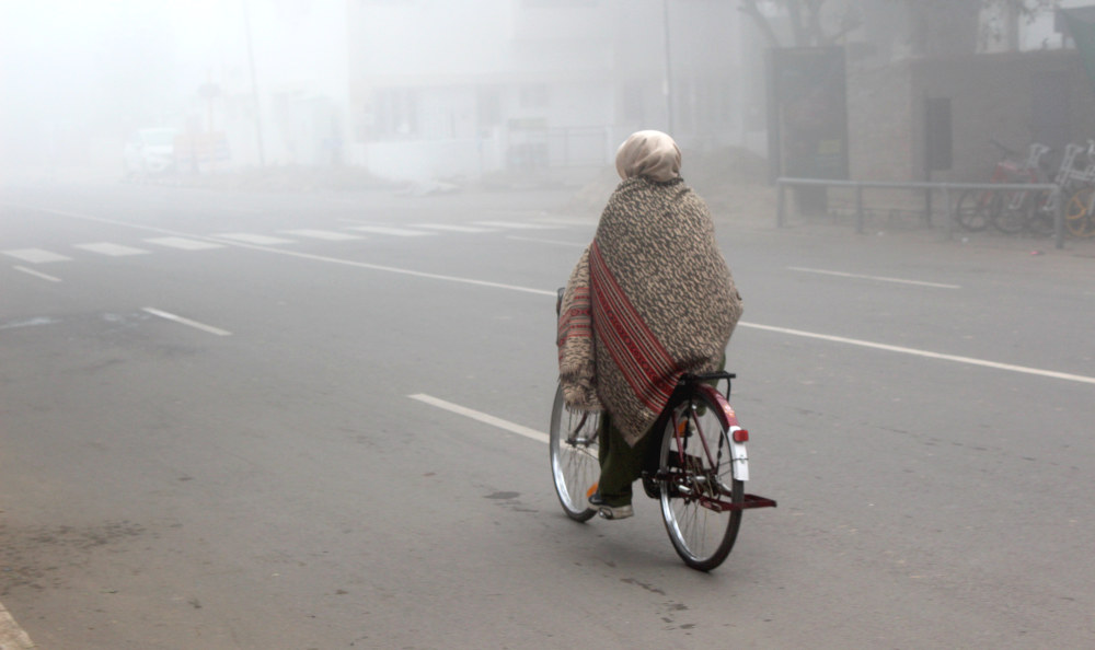 On pédale aussi dans la brume à Chandigarh durant les mois d'hiver - Secteur 8